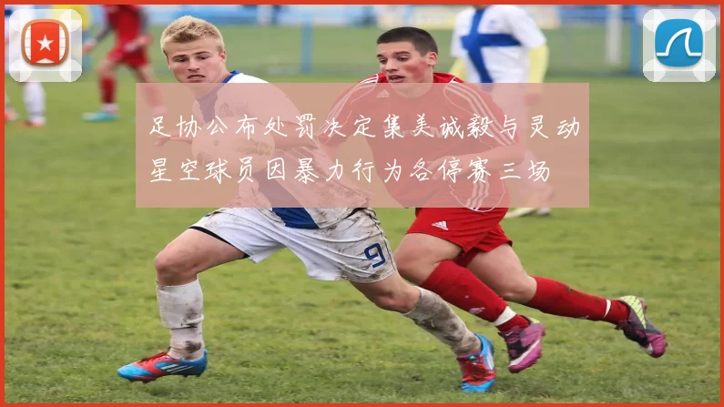 足协公布处罚决定集美诚毅与灵动星空球员因暴力行为各停赛三场